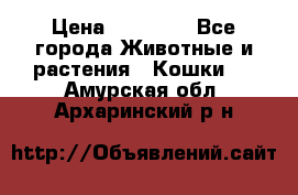 Zolton › Цена ­ 30 000 - Все города Животные и растения » Кошки   . Амурская обл.,Архаринский р-н